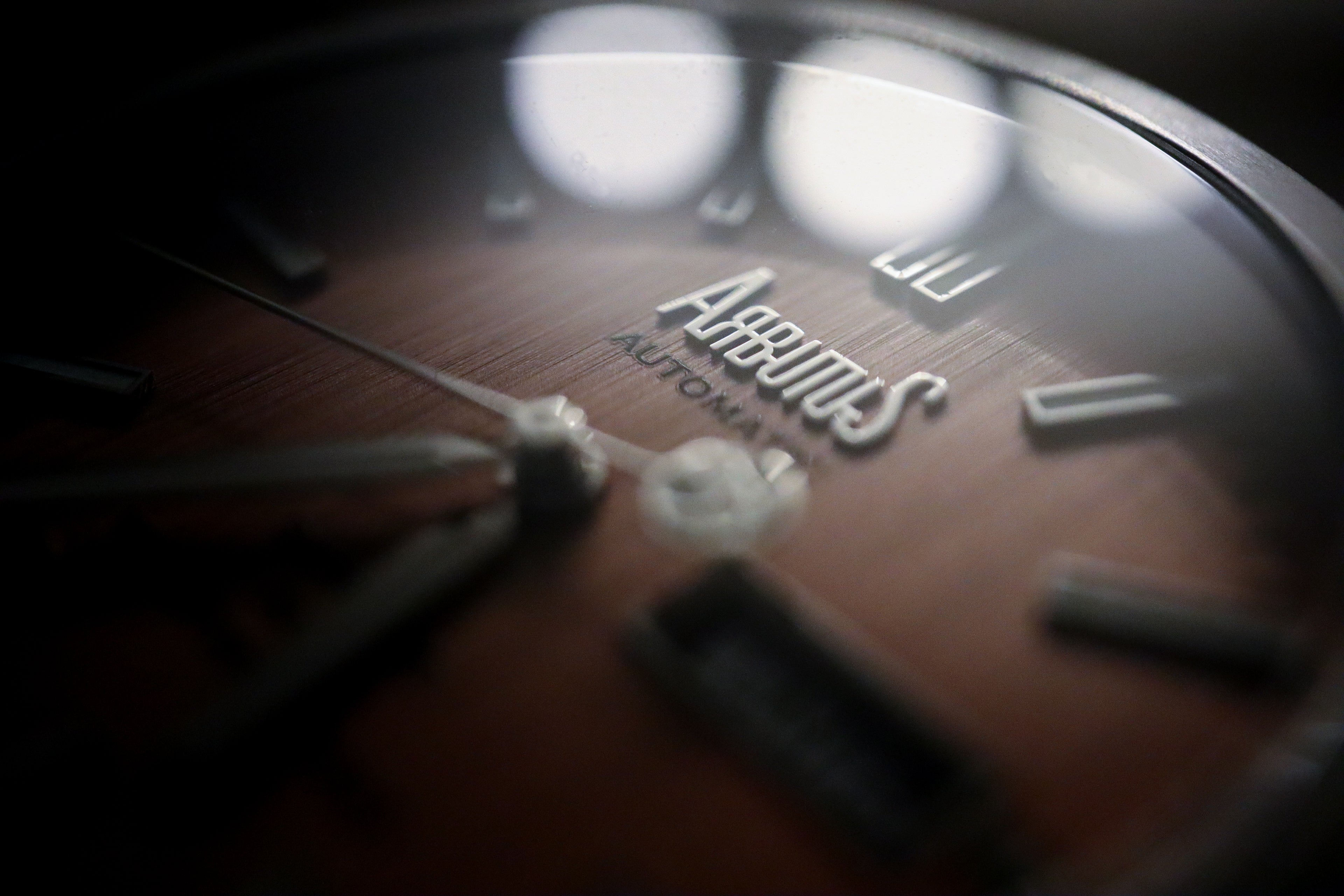 Arbutus Watch Dial